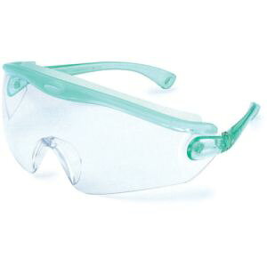 yR{w XzX SN-730GRN ^Z[teBOX SWANS R{w