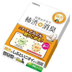 y J[I[ CARALLzJ[I[ 3016 `aL V[g VgX 