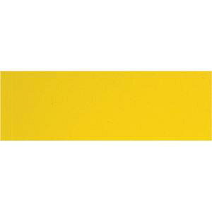 yV SHINWAzV 72049 }OV[g Ȃ B 10×30cm 0.8mm 