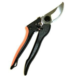 yA[NhTJg CLUB JzA[Nh 725661 yʙ 200mm