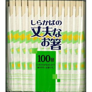 yVzV ̏vȂ 100V  蔢 ĝ