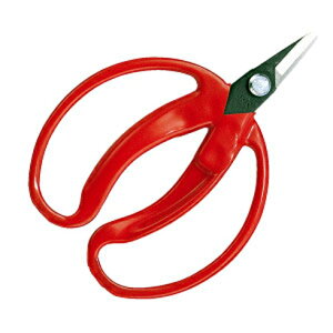 yAXR[|[V ARSzAX 430 ݂̎   ܓ