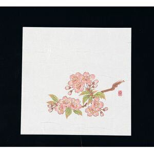 yA[ebNzA[ebN j[lG 5 100  NS-6