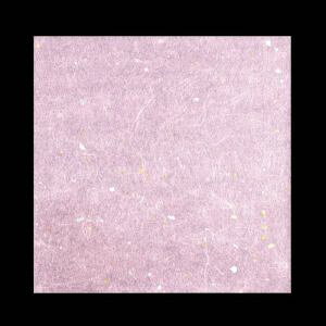 yA[ebNzA[ebN OP_~ F 100 15cmp OPG-25