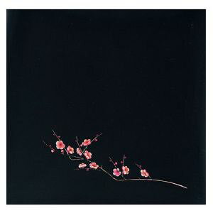 yA[ebNzA[ebN OPNAlG ~ 200 OS-12-5