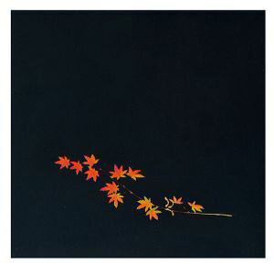 yA[ebNzA[ebN OPNAlG Ԃ݂ 200 OS-12-9