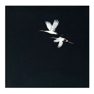 yA[ebNzA[ebN OPNAlG  200 OS-15-1