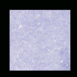 yA[ebNzA[ebN OP_~ F 100 12cmp OPG-44