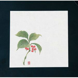 yA[ebNzA[ebN j[lG 4 100 傤 NS-15