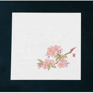 yA[ebNzA[ebN j[lG 4 100  NS-18