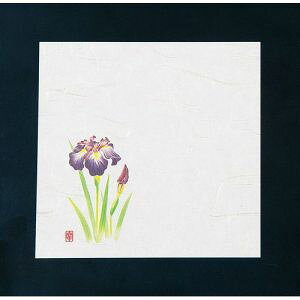 yA[ebNzA[ebN j[lG 4 100  NS-20