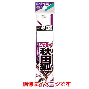 yߐj SASAMEzߐj JTM Hc  t 2 nX0.4 C-012