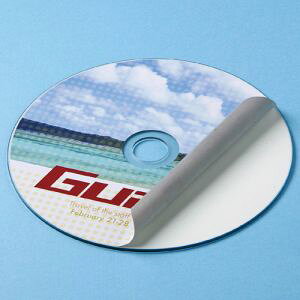 【サンワサプライ】インクジェット透けないCDラベル(内径24mm・マット) LB-CDR004N