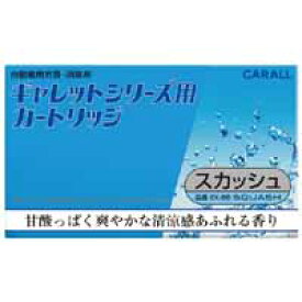 【晴香堂 カーオール CARALL】カーオール EX68 ギャレットシリーズ用 カートリッジ スカッシュ 晴香堂