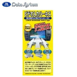 yf[^VXezf[^VXe VHI-T10 rfI̓n[lX