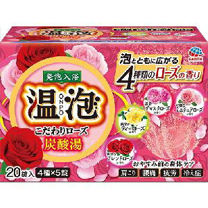 yA[X EARTHzA[X A ONPO 胍[Y Y_  20 5x4