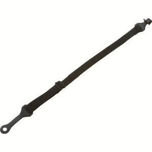 ygXRR TRUSCOzی߂˃oh TGSTR