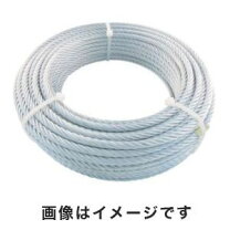 楽天市場】ワイヤーロープ 9mm×50mの通販