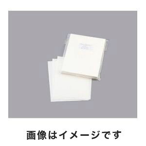 yAY AS ONEzAY AYsAŋۃN[y[p[ A4  2500 2-4940-02