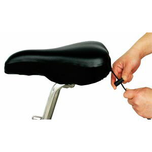 yvې쏊 }g MARUTOz}g GELThJo[ X|[cTCNp X|[cp BK vې쏊