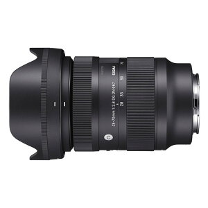28-70mm F2.8 DG DN (�\�j�[E�p)/�V�O�}