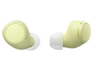 ���C�����X�C���z�� WF-C510 (�C�G���[)/SONY