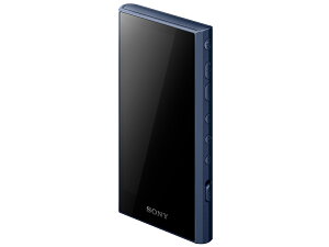 NW-A307 (L) [64GB u[]/SONY