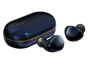 AVIOT TE-W1-NV [h[lCr[]/vV[hWp