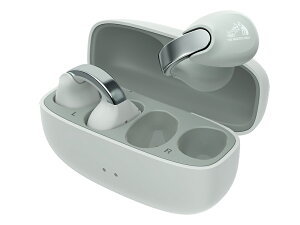 Victor nearphones HA-NP1T-H [ACXO[]/Victor