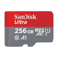 SDSQUAC-256G-GN6MN [256GB]/Sandisk