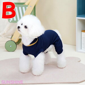 yԌP5{zp[X   ^ ^ p[X ܂ bt^n ̕  ybg hbOEFA t I[C Ȃ o i Eѕی 