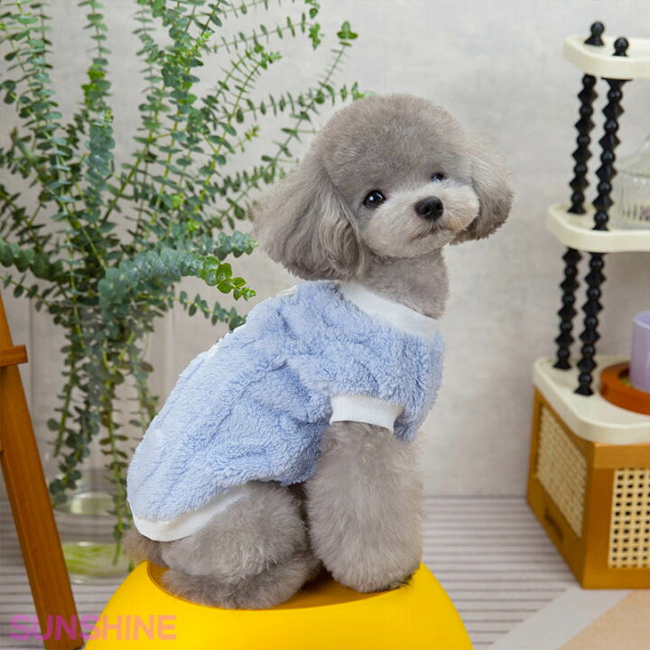 楽天市場】【1000円ポッキリ】犬 服 小型犬 タンクトップ ベスト 犬の 