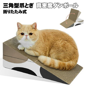 y@\zOp^܂Ƃ ܂肽ݎ L ܂Ƃ i{[ ߂Ƃ Op`^ ܂ݎ x ϋv xbh^ gl܂Ƃ L ܂Ƃ LbgnEX LnEX L}bg ܂Ƃ 