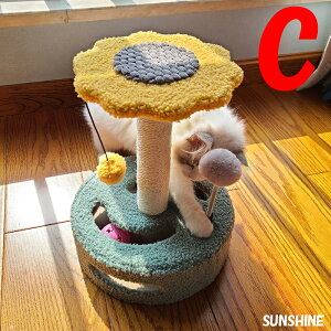 yԌP5{z܂Ƃ  LObY y XgX [֗ LbgL^[ u ܂Ƃ Lbg^[ Lp`  邮 25*25*H35.5cm