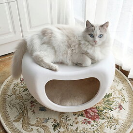 猫ハウス 猫用 ベッドベッド キャットハウス 小型犬 子猫 椅子 インテリア PP樹脂 家具 汚れに強い 丸洗い 多匹乗り可能 ミニディスク 48*31*29cm
