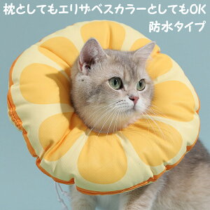 GUxXJ[ p J[ Lp Dp  \tg L GUxX  p  r h~ ی GJ ݊ ɂȂ _炩 y p 畆a  ΍ j̎q ̎q pi