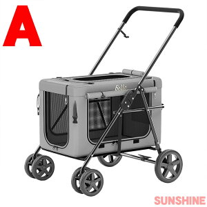 ybgJ[g ^ hbOJ[g ړ̃ybgnEX TXyV ^ oM[  J[g  ^ ybgJ[g L[ S[fg[o J[g ybgoM[ hb