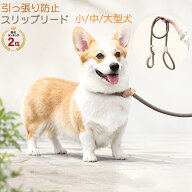 「ランキング受賞！」 首輪 フルチョーク スリップリード 犬 引っ張り防止 首輪 ロープ 軽い ナイロン製 …