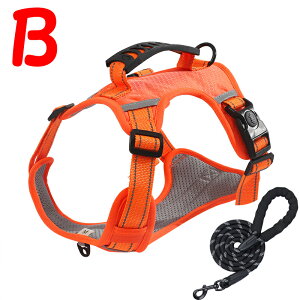 yԌP5{zh~ [ht  p ^ U bエ ^ h~ n[lX  h~ n[lX pn[lX [h h~ Zbg ^