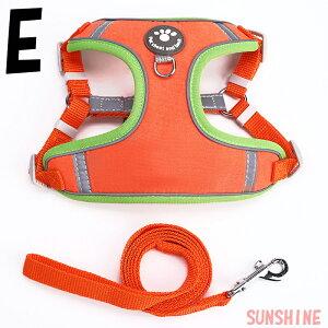 y2gzpn[lX [h ZbgAbv Z[v ^ ^ ^ U o Vv   }WbNe[v ̊P݌y ʋCQ v  Lp