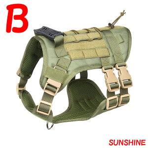 yԌP5{zyzpn[lX [ht AEghA ^ ^  h~ ZbgAbv ̊P݌y ʋCQ  P v 