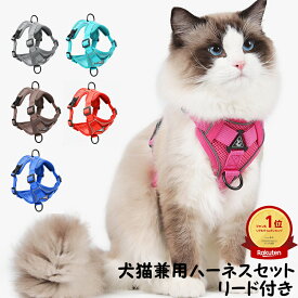 「ランキング受賞！」 猫 ハーネス リート付き セットアップ 猫用ハーネス 花見 シンプル 可愛い 犬用ハーネス リード セットアップ 小型犬 超小型犬 お散歩 お出かけ 胴輪 マジックテープ 愛犬の咳き込み軽減に 通気性が抜群 丈夫 長持ち