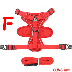 L n[lX [gt ZbgAbv Lpn[lX Ԍ Vv  pn[lX [h ZbgAbv ^ ^ U o  }WbNe[v ̊P݌y 