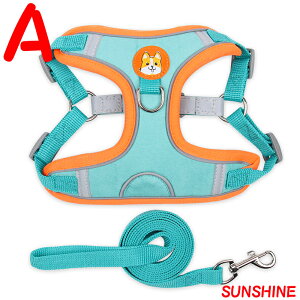 yzpn[lX [h ZbgAbv Z[v ^ ^ ^ U o Vv   }WbNe[v ̊P݌y ʋCQ v  