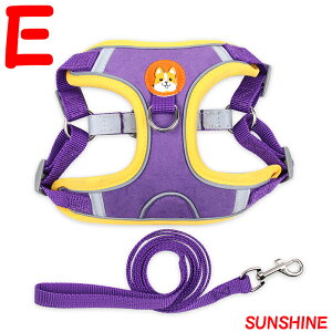 yzpn[lX [h ZbgAbv Z[v ^ ^ ^ U o Vv   }WbNe[v ̊P݌y ʋCQ v  