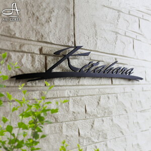 \D XeXyTC悤ȃtȕ͋CzACA ubN Vo[ ˌ TCY X܊Ŕ lcs-01 \D ACA   