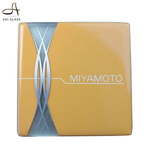 y \D KX ziȉ̃LKXƃXeXl[ v[g \D IV@ACA