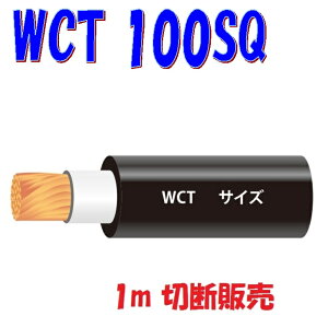 WCTy100SQznڋ@pSLu^CP[uy1m ؒf̔zA[Nnڋ@2P[u