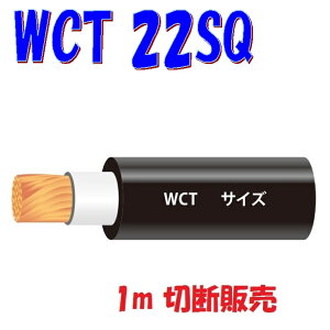 WCTy22SQznڋ@pSLu^CP[uy1m ؒf̔zA[Nnڋ@2P[u