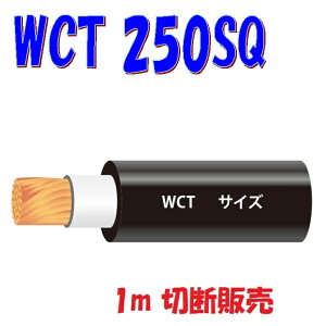 WCTy250SQznڋ@pSLu^CP[uy1m ؒf̔zA[Nnڋ@2P[u
